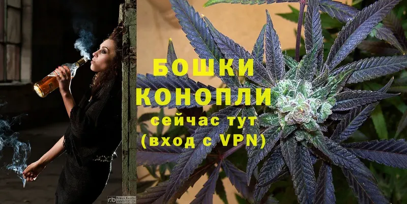 Бошки марихуана THC 21%  KRAKEN   Вельск  как найти наркотики 